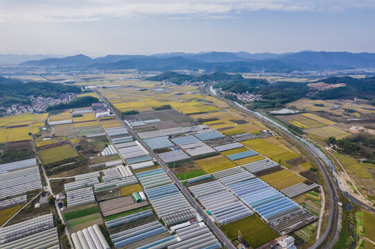 航拍浙江上虞张村秋日田园风光