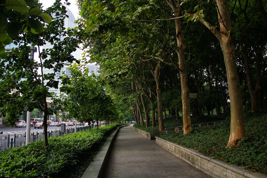 上海城市风景