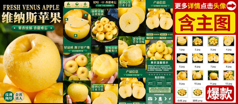 維納斯詳情