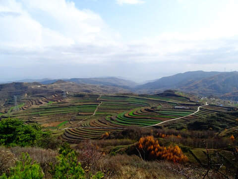 田地