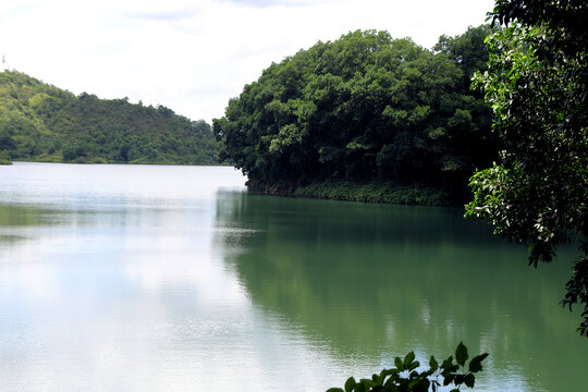 青山绿水