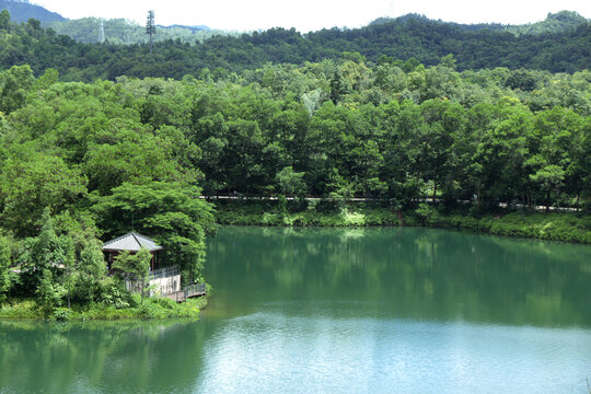 惠州红花湖风光