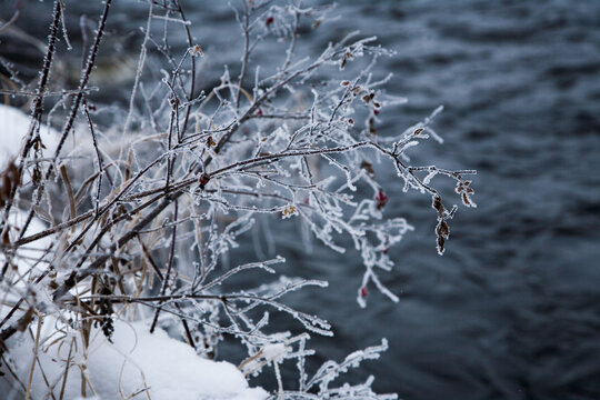 冬季的冰雪风光