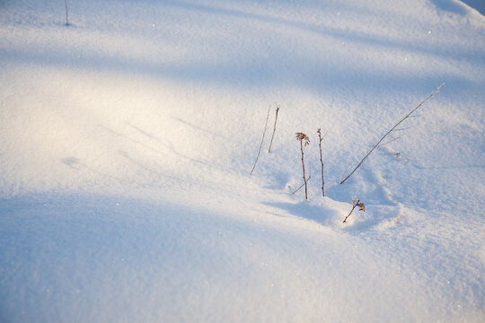 冬季的冰雪风光