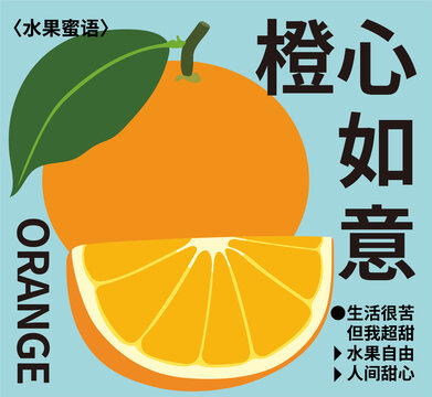 矢量水果插畫(huà)橙子切開(kāi)的橙子