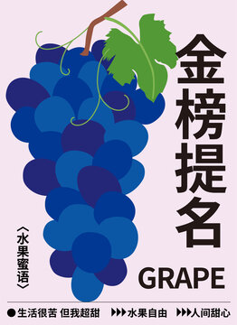 水果插畫一串帶葉子的葡萄提子