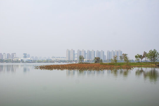 湖边风景