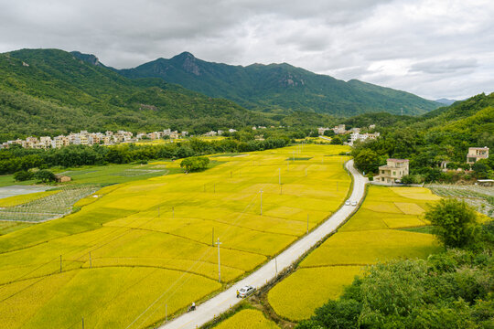 乡村秋色