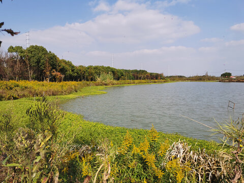 乡野风光秋景湖泊