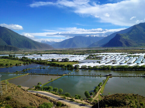 西藏雪山下的河流