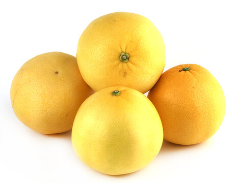 葡萄柚子