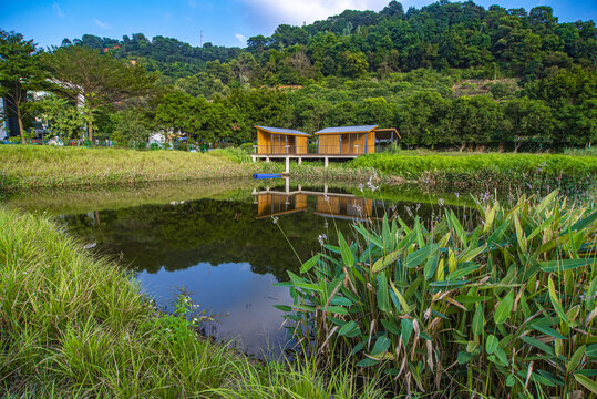 钓鱼场池塘