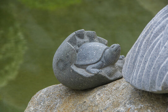 破壳的小乌龟石雕