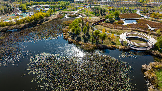 中国长春南溪湿地公园秋季风景