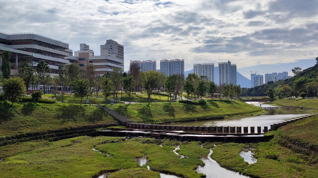 深圳实验小学坪山高中园