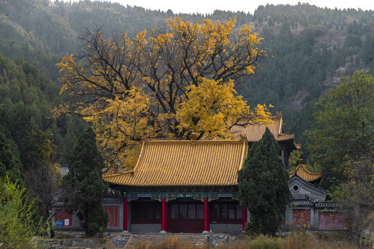 济南淌豆寺秋景