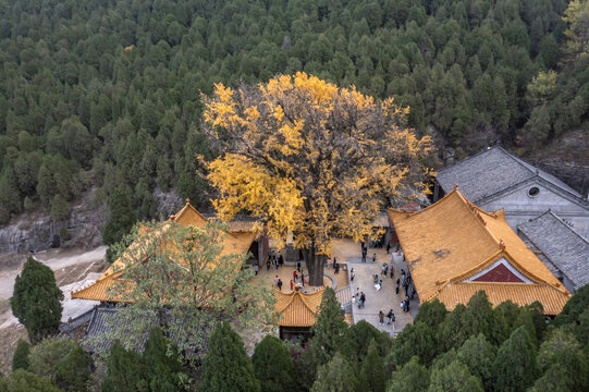 济南淌豆寺侧视图