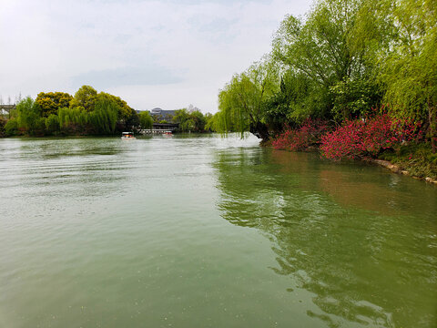 绿树丛生的碧水湖面