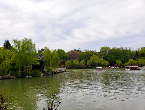 垂柳绿树包围的湖岸