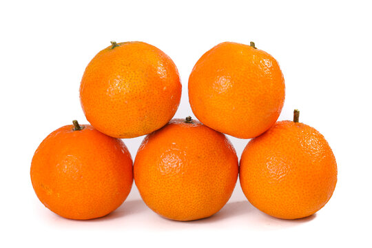 象山柑橘