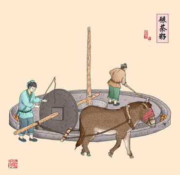 碾茶籽插畫