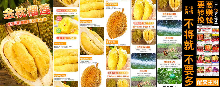 金枕榴蓮詳情