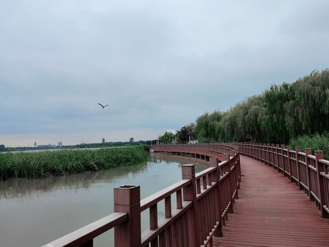 湖边旅游观光木质步道