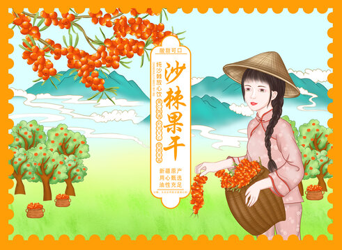 農(nóng)家女孩摘沙棘