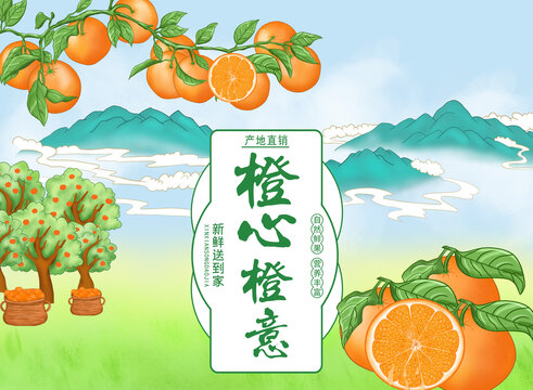 橙子包装插画
