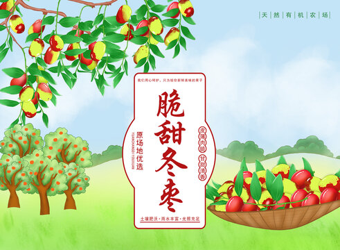 冬棗禮盒包裝插畫