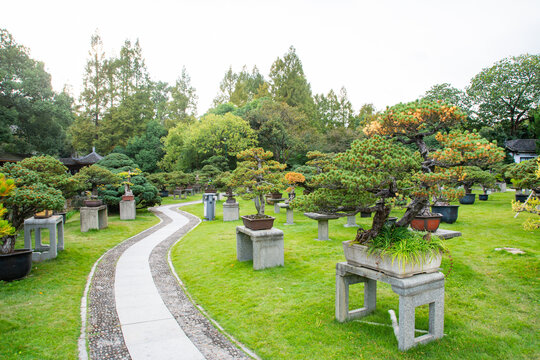 杭州花圃掇景园