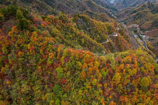 庆城口大巴山深处秋意浓