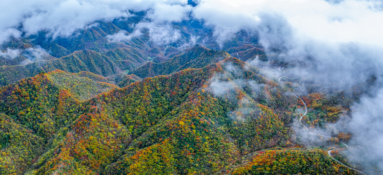 庆城口大巴山深处秋意浓