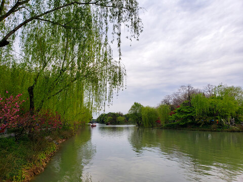 青翠欲滴的碧水湖岸