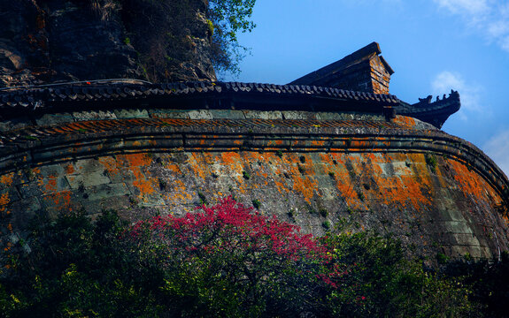 花开武当山紫金城