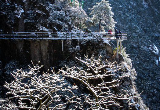 羊狮幕雪景