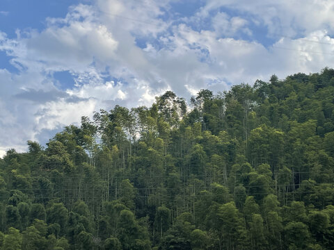 乡村山林