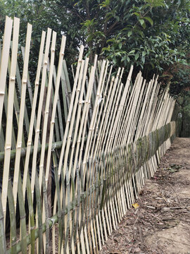 竹篱笆