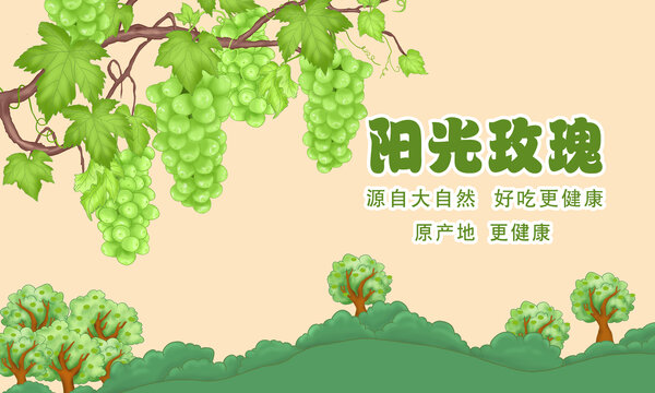 陽光玫瑰插畫