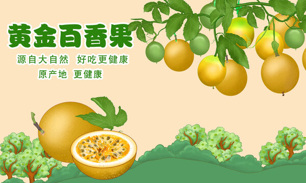 黃金百香果插畫