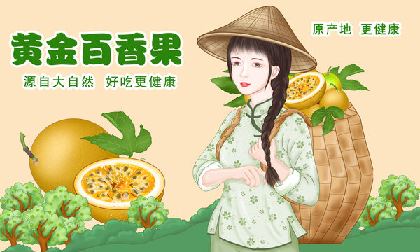 黃金百香果插畫(huà)