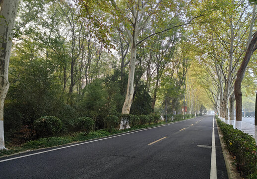 道路秋季风景