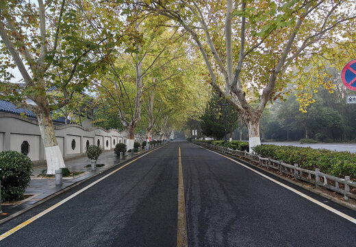 道路秋季风景