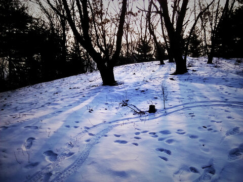 踏雪有痕