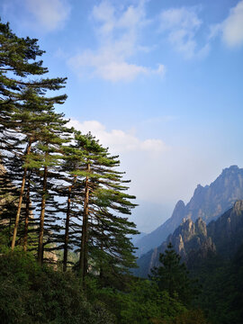 黄山美景