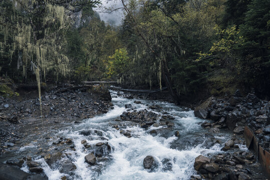 雨崩溪流