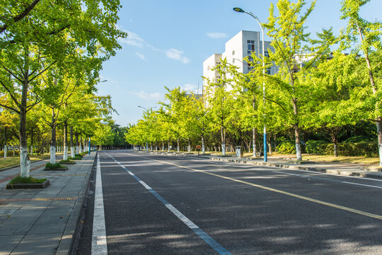 城市郊区干净的沥青道路