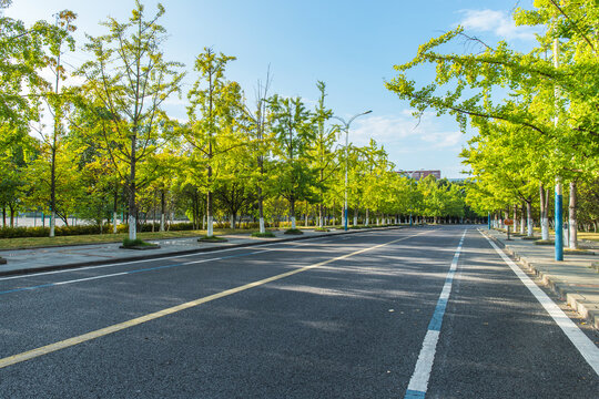 城市郊区干净的沥青道路