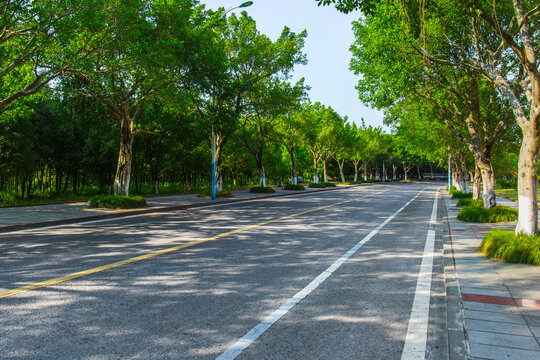 城市郊区干净的沥青道路