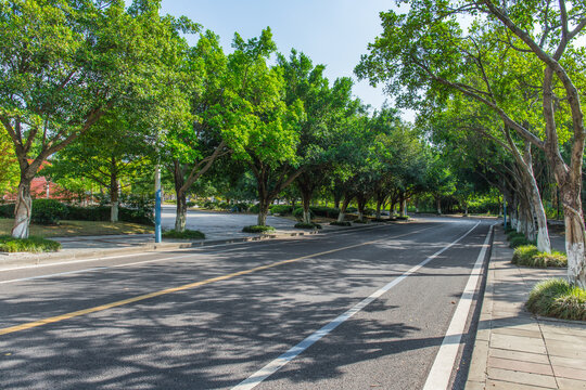 城市郊区干净的沥青道路